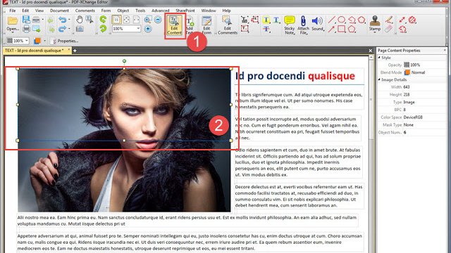 pdf-xchange.eu