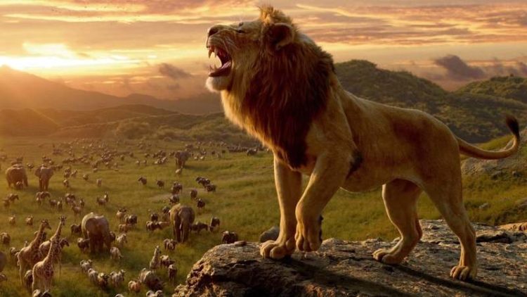 Highest grossing film — The Lion King